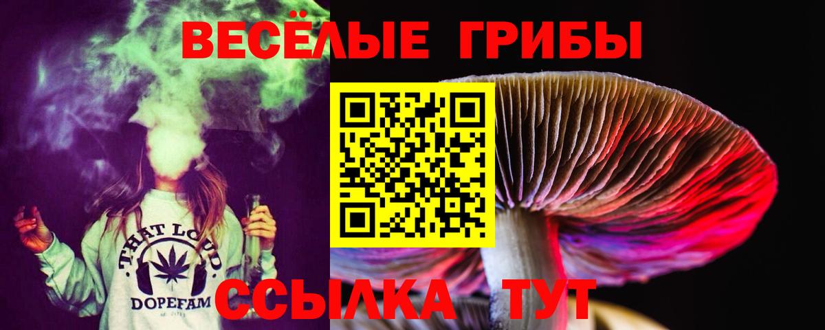 Нягань  Галлюциногенные грибы Magic Shrooms  продажа наркотиков  Вход с VPN 